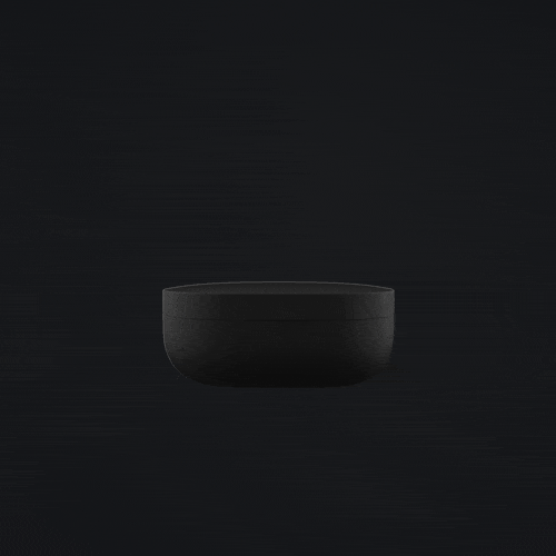 Earbud